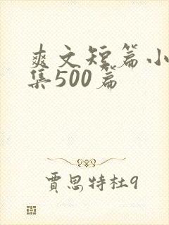 爽文短篇小说合集500篇