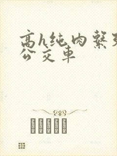 高h纯肉系列h公交车