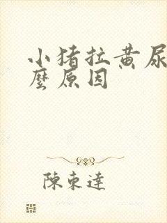 小猪拉黄尿是什么原因