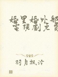 婚里婚外那些事 电视剧免费观看