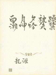 白月夕被躁到高潮呻吟失禁