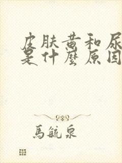 皮肤黄和尿黄又是什么原因