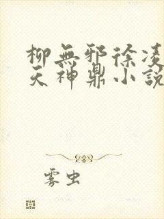 柳无邪徐凌雪吞天神鼎小说