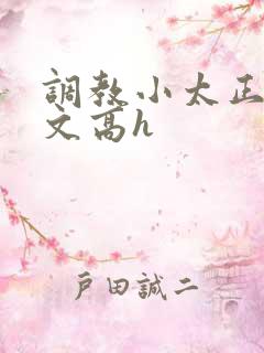 调教小太正肉车文高h