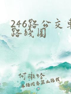 246路公交车路线图