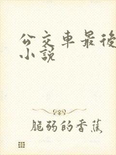 公交车最后一排小说