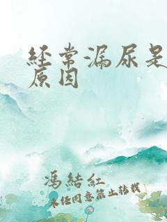 经常漏尿是什么原因