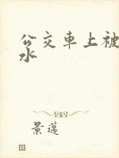 公交车上被摸出水