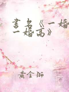 书名《一婚还比一婚高》