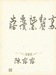 出车祸对方无力赔偿怎么办