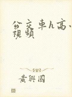 公交车h高小说视频