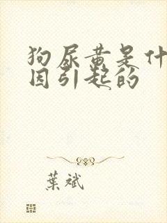狗尿黄是什么原因引起的