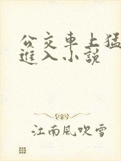 公交车上猛烈的进入小说