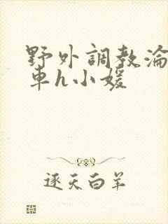 野外调教沦为公车h小媛