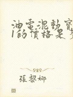 油电混动宝马x1的价格是多少