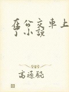 在公交车上被c了小说