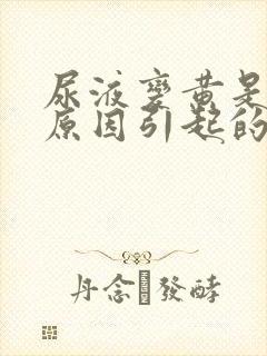 尿液变黄是什么原因引起的