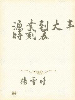 渔业到大丰公交时刻表
