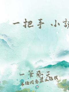 一把手 小说