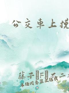 公交车上摸女人