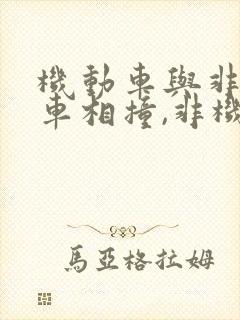 机动车与非机动车相撞,非机动车全责