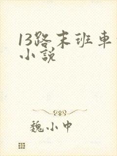 13路末班车的小说