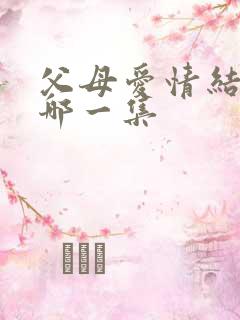 父母爱情结婚是哪一集