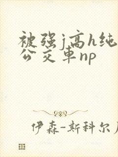 被强j高h纯肉公交车np