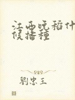 江西晚稻什么时候播种