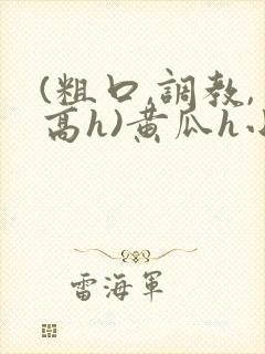 (粗口,调教,高h)黄瓜h小说