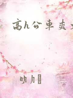 高h公车爽文