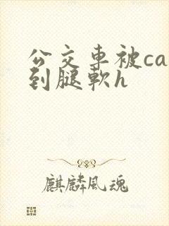 公交车被cao到腿软h