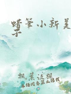 蜡笔小新美伢本子