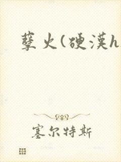 孽火(硬汉h)