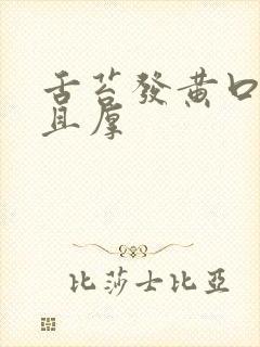舌苔发黄口臭而且厚