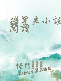 捞星光小说免费阅读