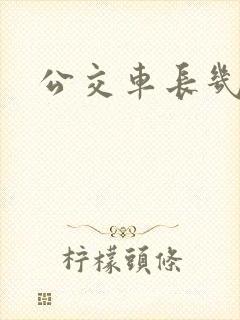 公交车长几米