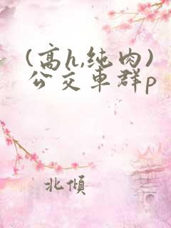 (高h,纯肉)公交车群p