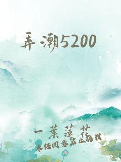 弄潮5200