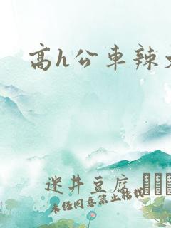 高h公车辣文