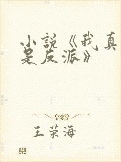 小说《我真的不是反派》