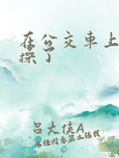 在公交车上被人操了