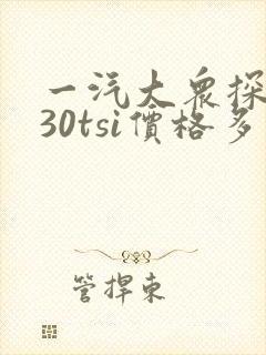 一汽大众探岳330tsi价格多少