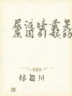尿液暗黄是什么原因引起的