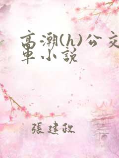 高潮(h)公交车小说