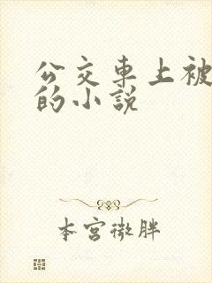公交车上被侵犯的小说