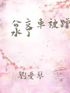 公交车被蹭的流水了