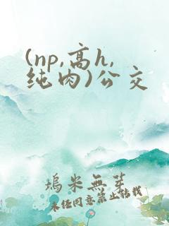 (np,高h,纯肉)公交