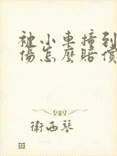 被小车撞到后受伤怎么赔偿