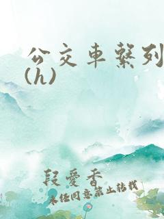 公交车系列小说(h)